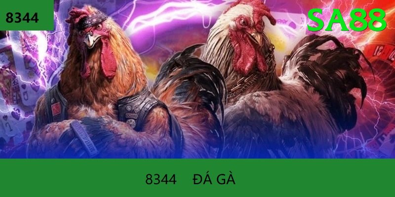 Đá Gà Trực Tiếp - sa88 - Hỗ trợ mọi thiết bị